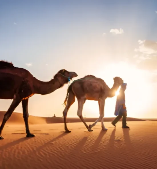 Merzouga